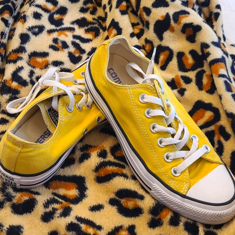All star chuck taylors